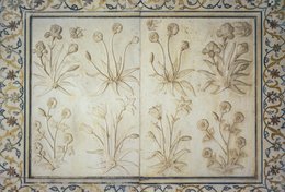 Agra;-Agra-Fort;-Architecture;-Bas-relief;-Floral-decoration;-Flowers;-Hardstones;-India;-Inlay;-Kaleidos;-Kaleidos-images;-La-parole-à-limage;-Lal-Qila;-Mughal;-Pietra-dura;-Sculpture;-Shah-Jahan;-Stories-Pictures;-Tarek-Charara;-UNESCO;-Uttar-Pradesh;-White-marble;-World-Heritage